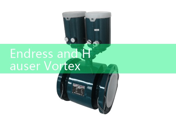 Endress and Hauser Vortex Flow Meter Prowirl Series: Multivariable Steam and Gas Measurement